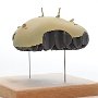 Christopher Abrams, "Listener.01," 2014, birch plywood, styrene, 8 (w) x 6 (d) x 4.5 (h) inches (approx.). 