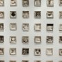 Michelle Lougee, "Cells," 2012-15, Ceramic and mixed media, each 6.5 x 6.5 x 2 inches. Photo: Will Howcroft.