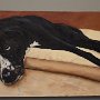Amy Finger, Josie, Oil on canvas; 15 x 30 inches. $750<br />