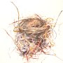Susan Maxfield, ‘Recycle’ Robin Nest, Charcoal, watercolor, gouache, ink, color pencil, liquid graphite; 32 x 23 inches. $900<br />