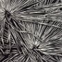 Diane T. Francis, Fan, Woodblock print; 16 x 19 inches. $400<br />