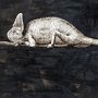 Alessandra Mariano, Chameleon, Oil on canvas; 30 x 46 inches.$8,000<br />