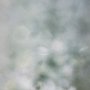 Thomas Whelan, Drop Space II (leaf), Photograph; 15 x 10 inches. $275<br />