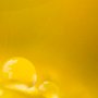 Thomas Whelan, Drop Space I (flower), Photograph; 10 x 15 inches. $275<br />
