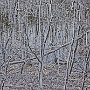Ellen Fisher, Walking in My Father’s Mind I, Photography-based image; 15 x 22.5 inches. $685<br />